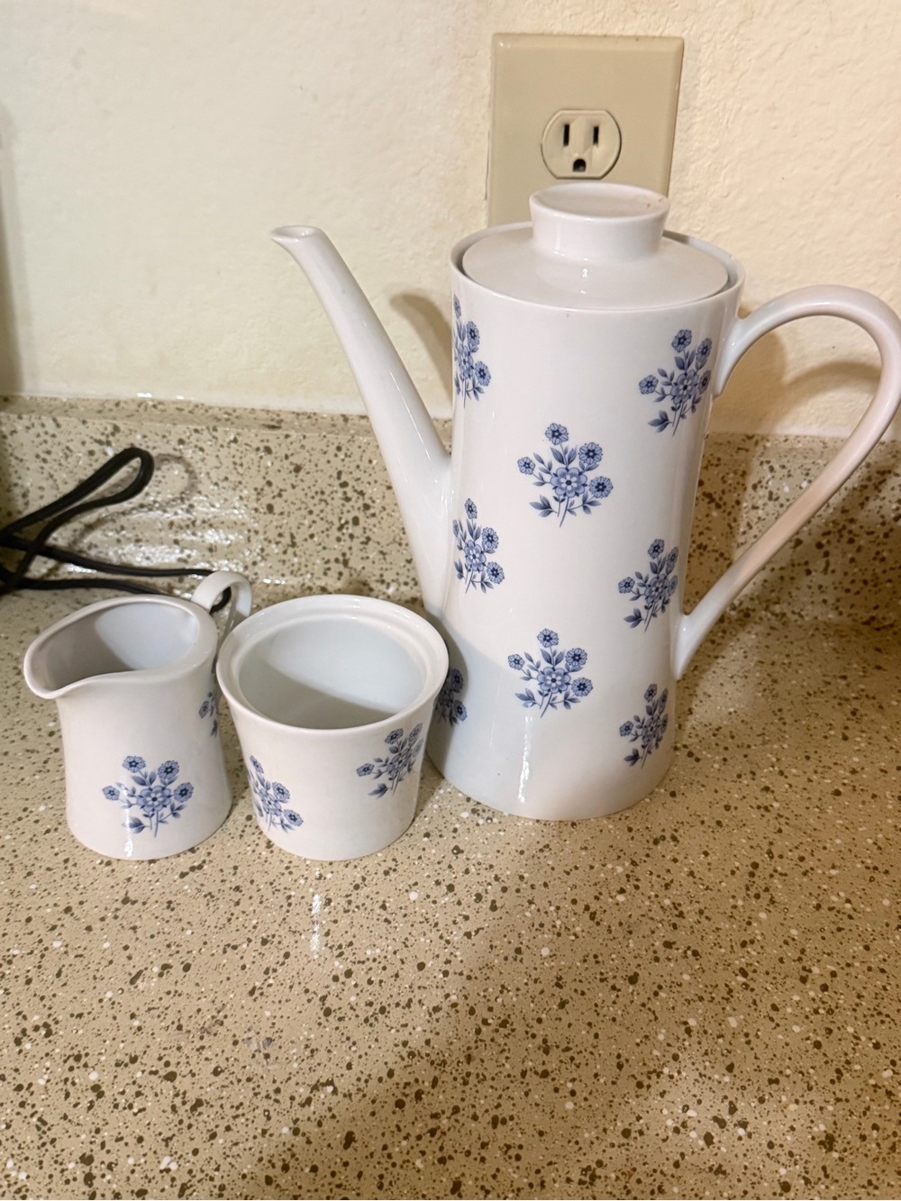 Vintage Mitterteich Bavaria Blue Floral Coffee Pot Set German Porcelain Cottage